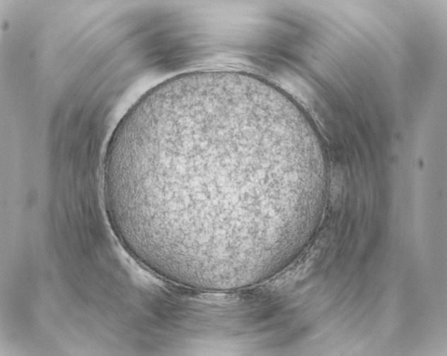 X0000087381478200705111723