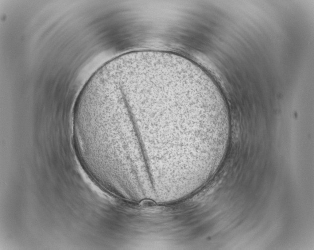 X0000087381479200705111723