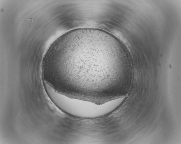 X0000087381480200705111723