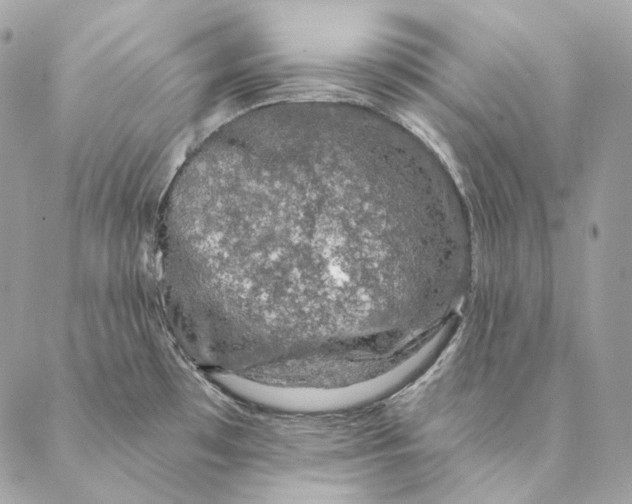 X0000087381481200705111723