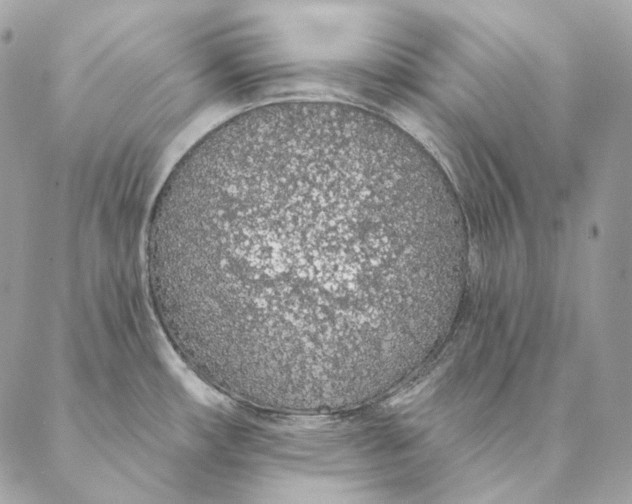 X0000087381482200705111723