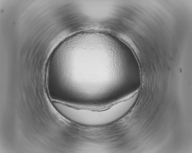 X0000087381483200705111723