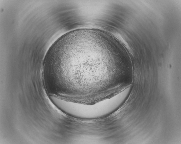 X0000087381484200705111723