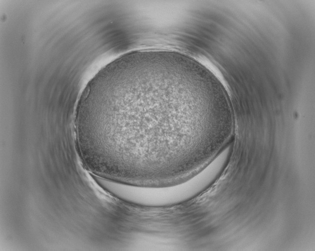 X0000087381485200705111723