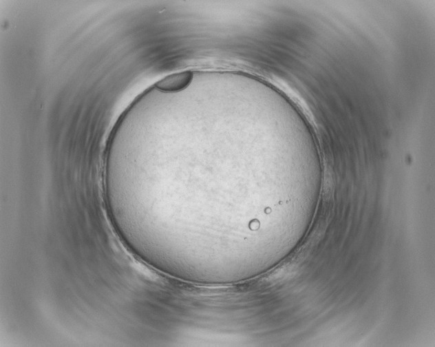 X0000087381486200705111723