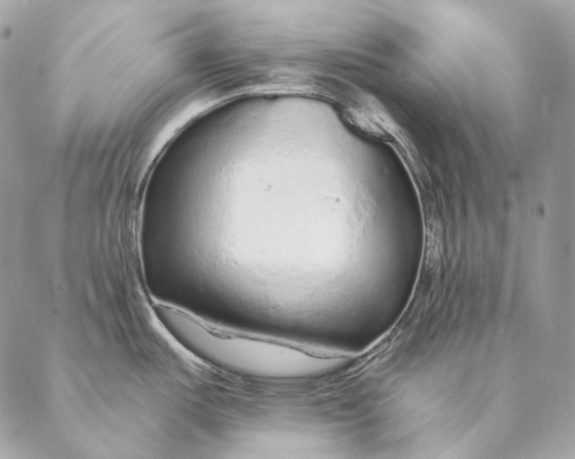 X0000087381487200705111723