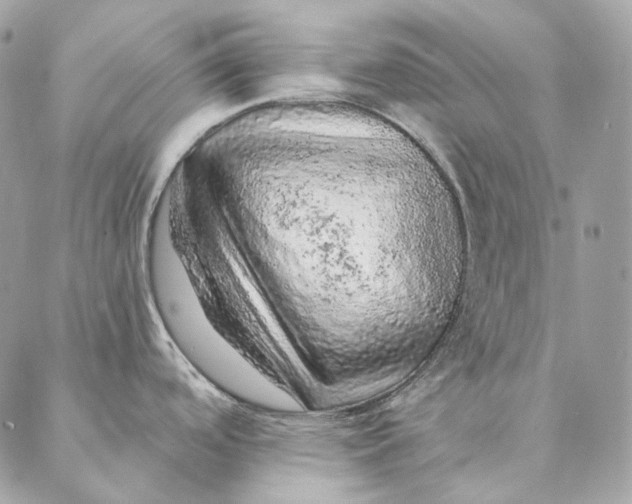 X0000087381488200705111723