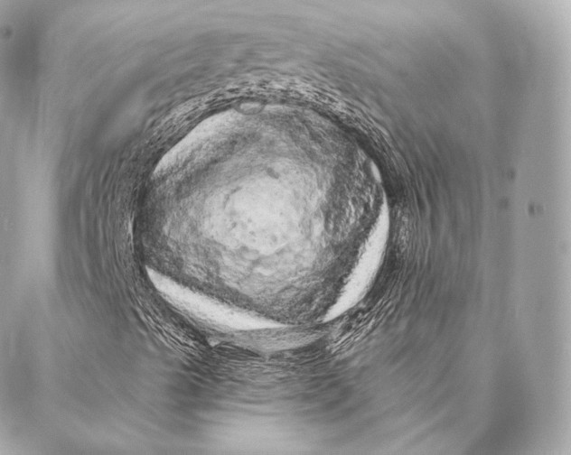 X0000087381489200705111722