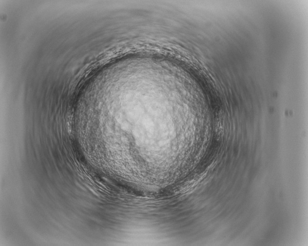 X0000087381490200705111722