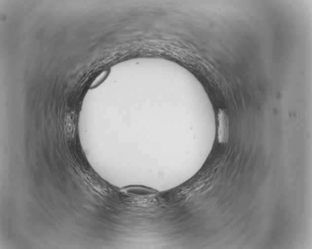 X0000087381491200705111722