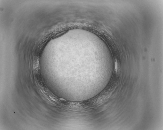 X0000087381492200705111722