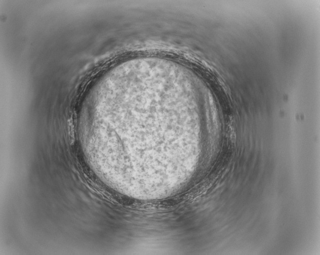 X0000087381493200705111722