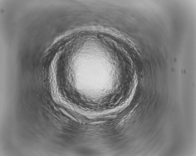 X0000087381494200705111722