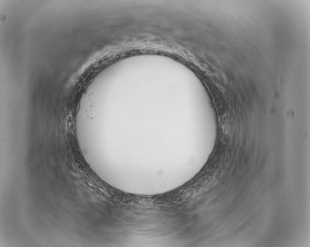 X0000087381495200705111722