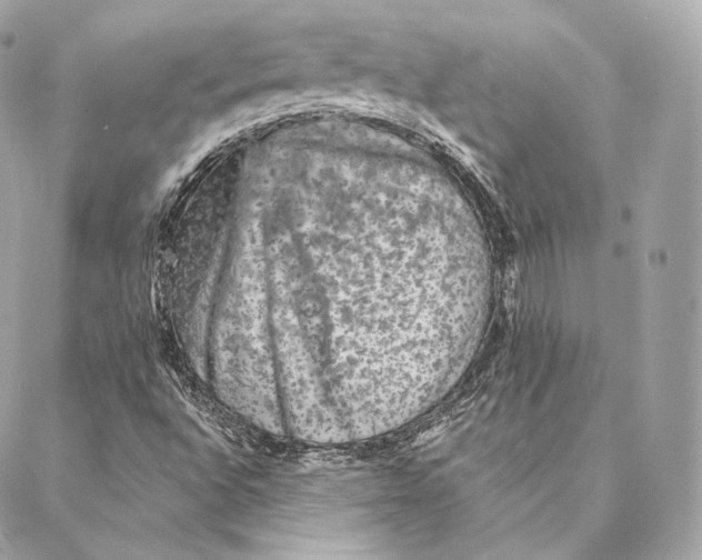 X0000087381496200705111722