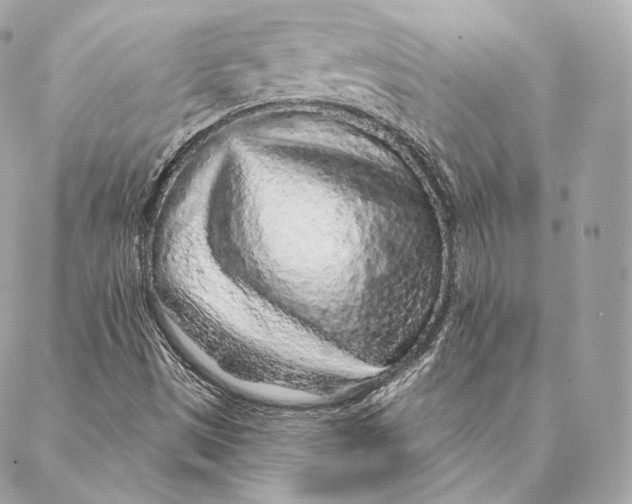 X0000087381497200705111722