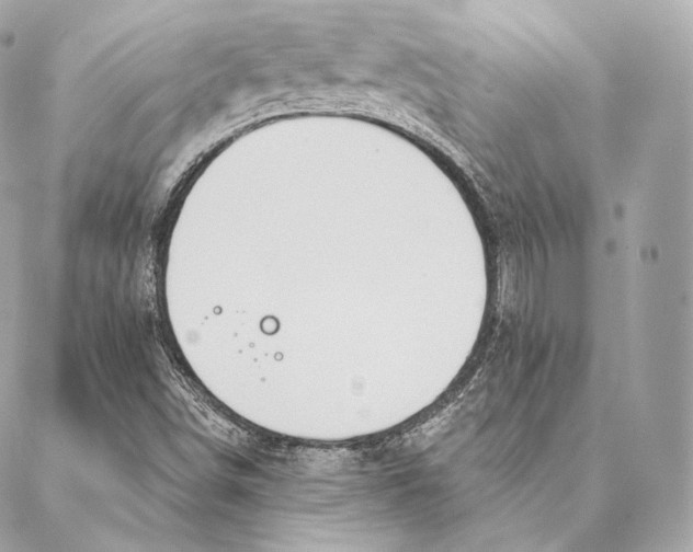 X0000087381498200705111722