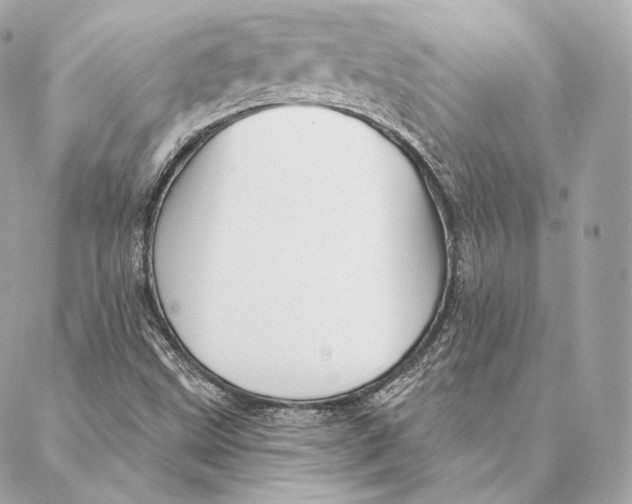 X0000087381499200705111722