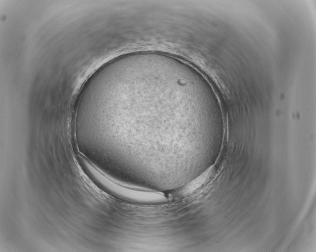 X0000087381500200705111722