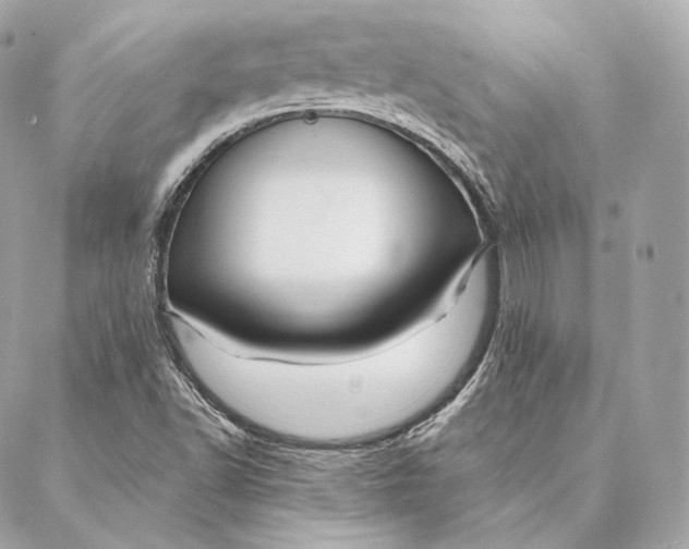 X0000087381502200705111722