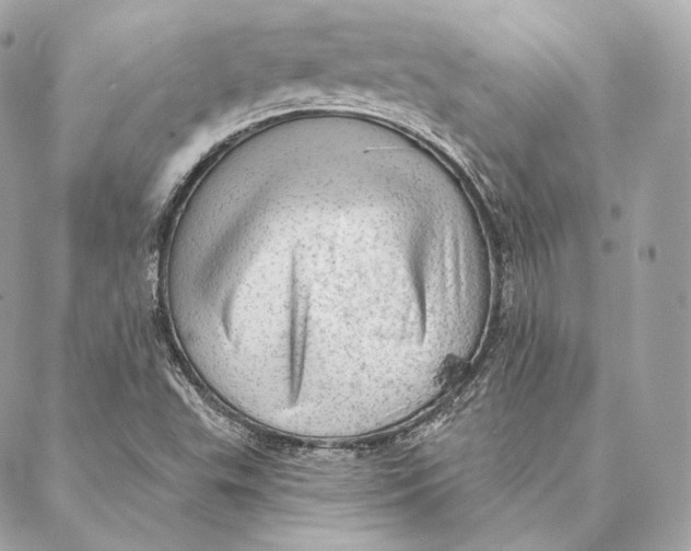 X0000087381503200705111722