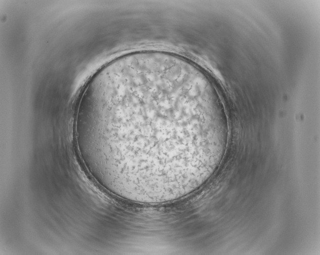 X0000087381504200705111722