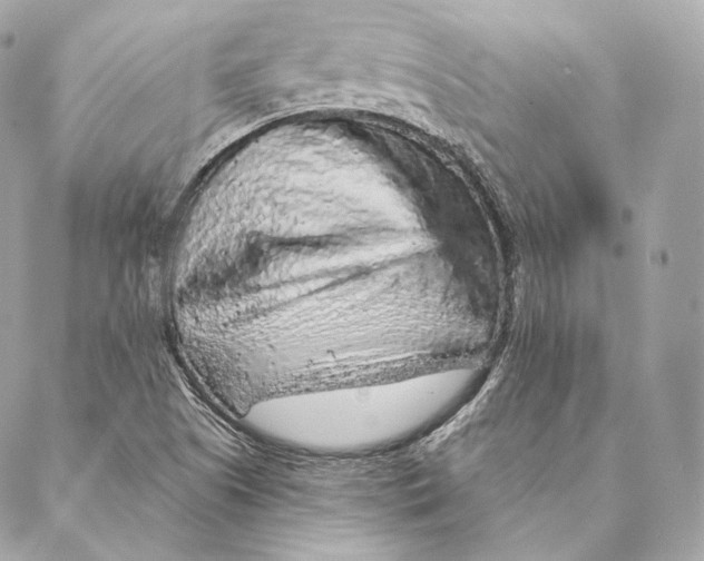 X0000087381505200705111722