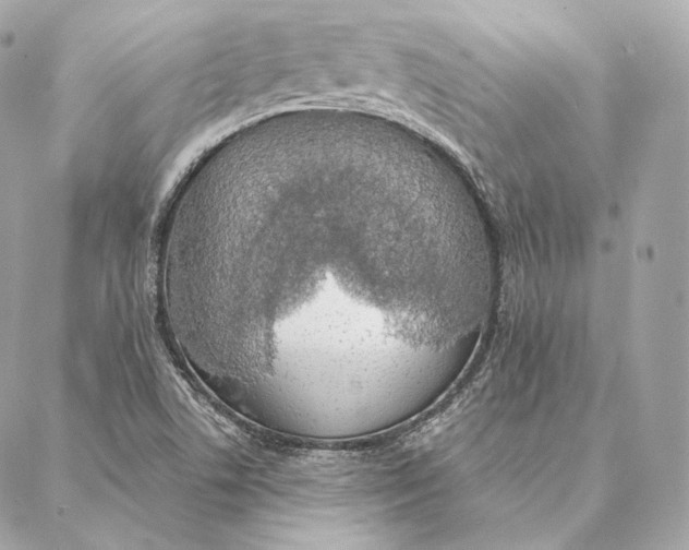 X0000087381506200705111722