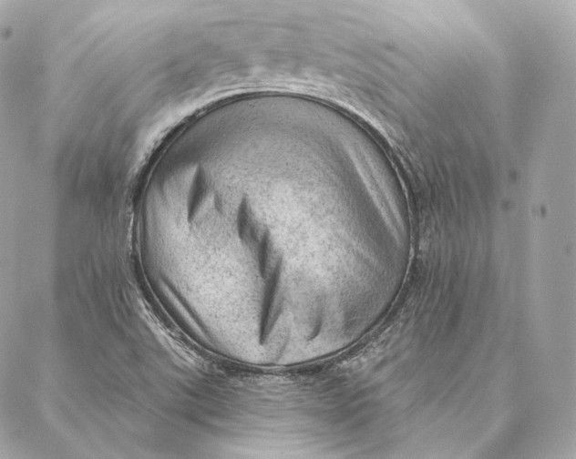 X0000087381507200705111722