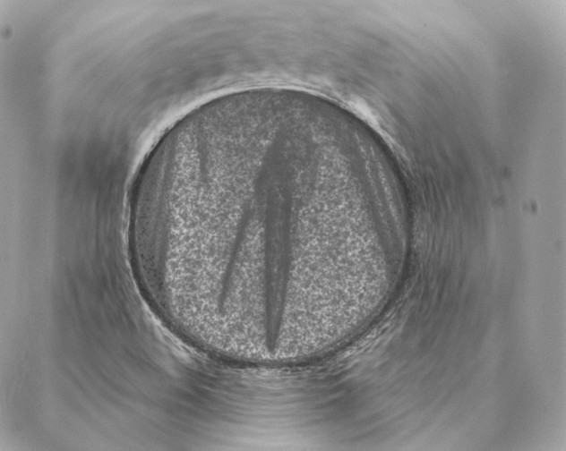 X0000087381508200705111722