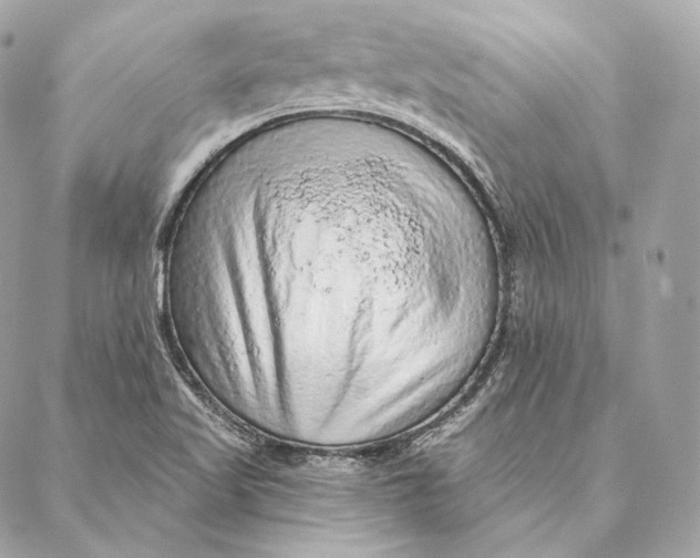 X0000087381509200705111722