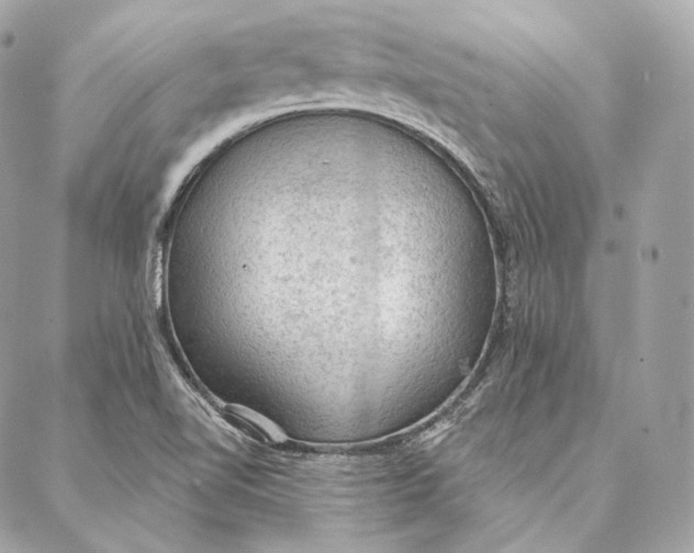 X0000087381510200705111722