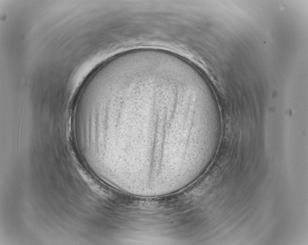 X0000087381511200705111722