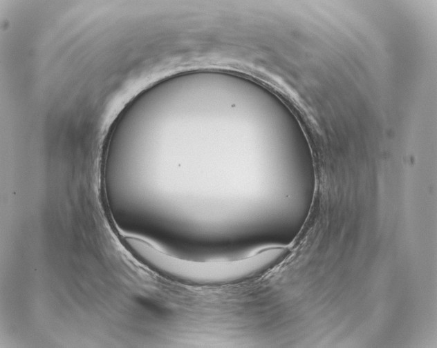 X0000087381512200705111722