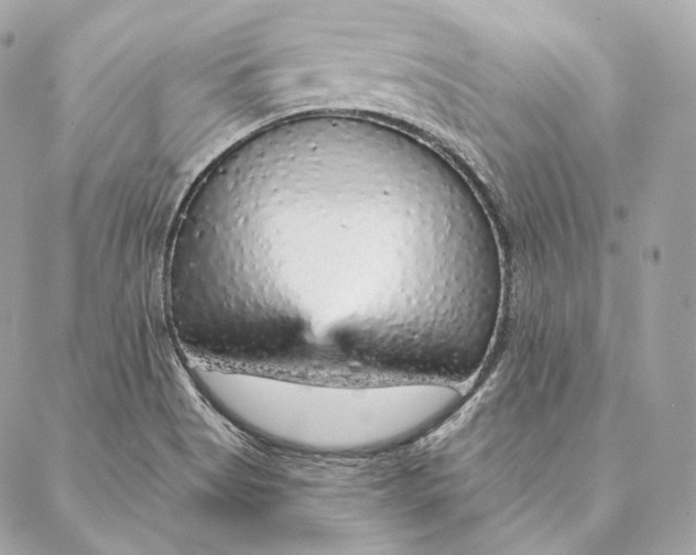 X0000087381513200705111722