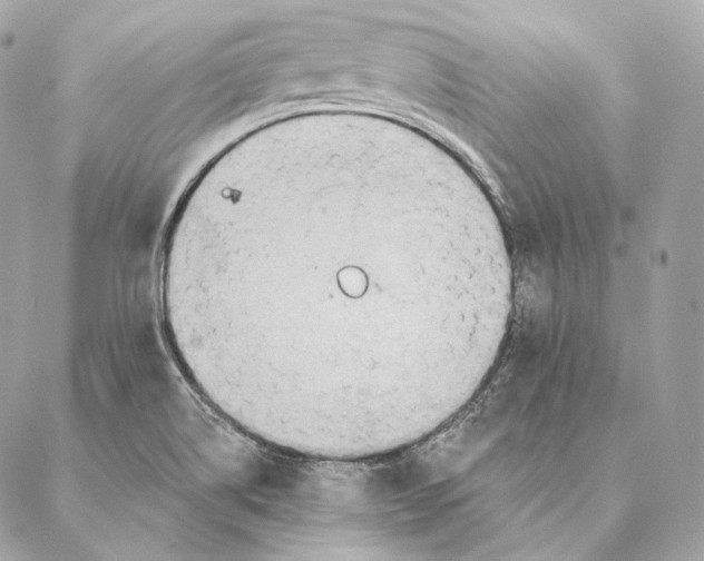 X0000087381514200705111722