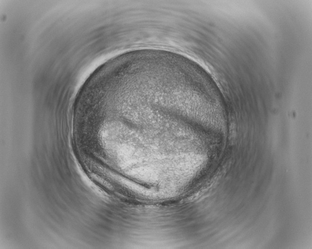 X0000087381515200705111722