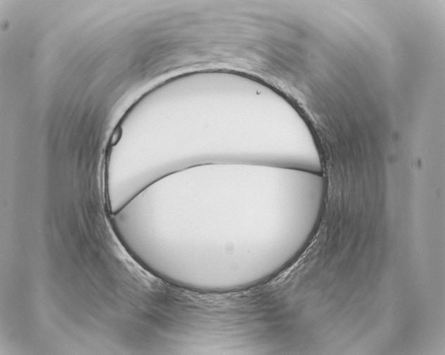 X0000087381516200705111722