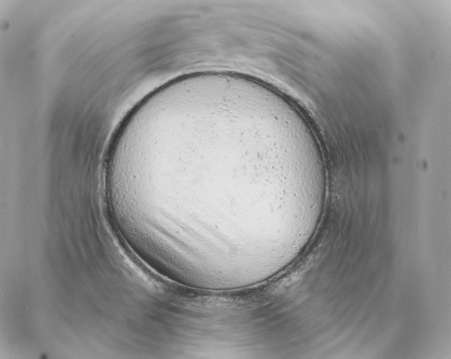 X0000087381517200705111722