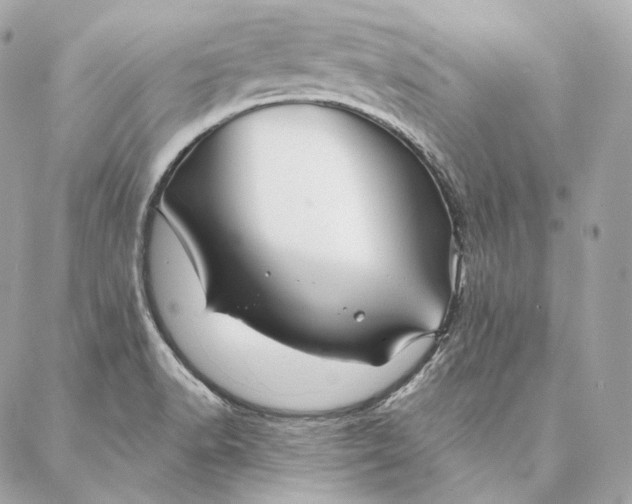 X0000087381518200705111722