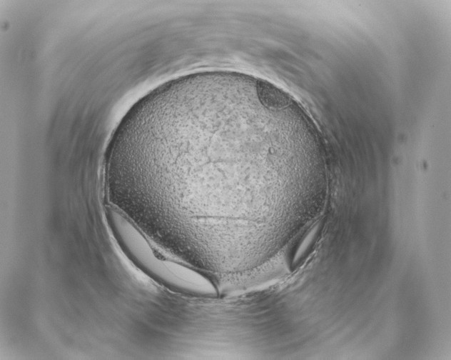 X0000087381519200705111722