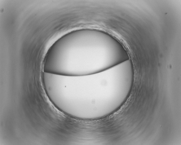 X0000087381520200705111722