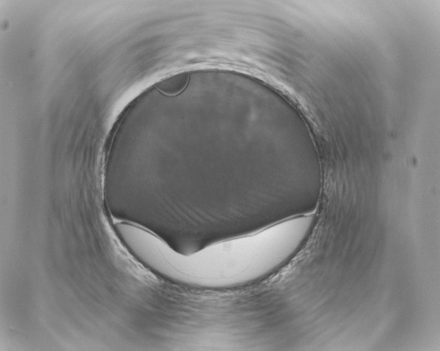 X0000087381522200705111722