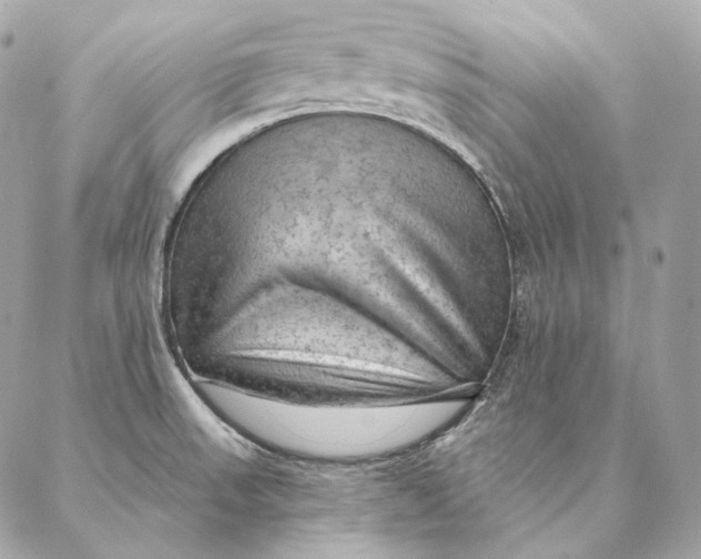 X0000087381523200705111722