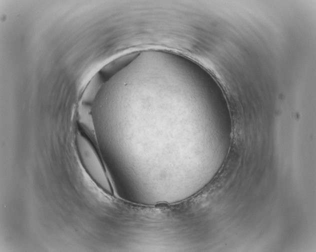 X0000087381524200705111722