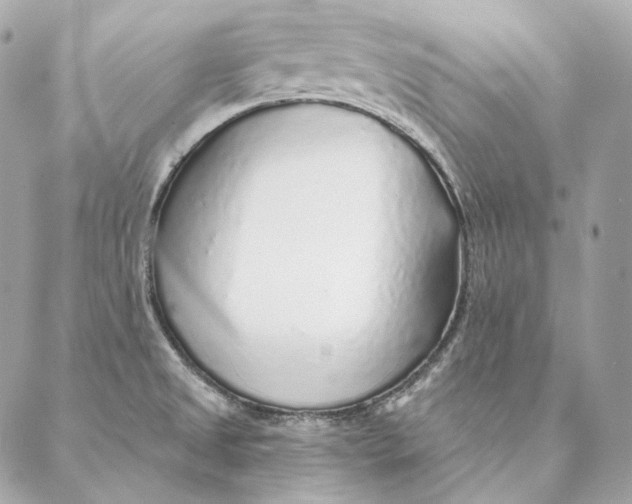 X0000087381525200705111723