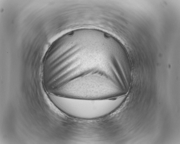 X0000087381526200705111723