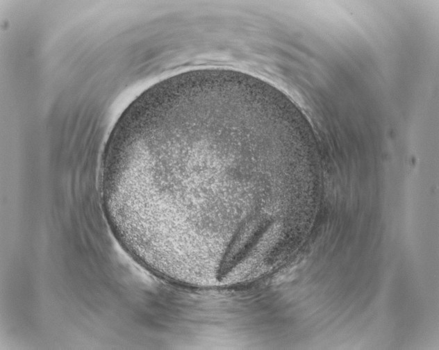 X0000087381527200705111723