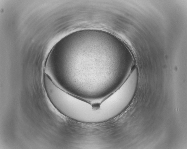 X0000087381528200705111723