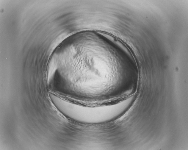 X0000087381529200705111723